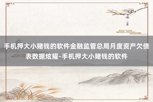 手机押大小赌钱的软件金融监管总局月度资产欠债表数据炫耀-手机押大小赌钱的软件