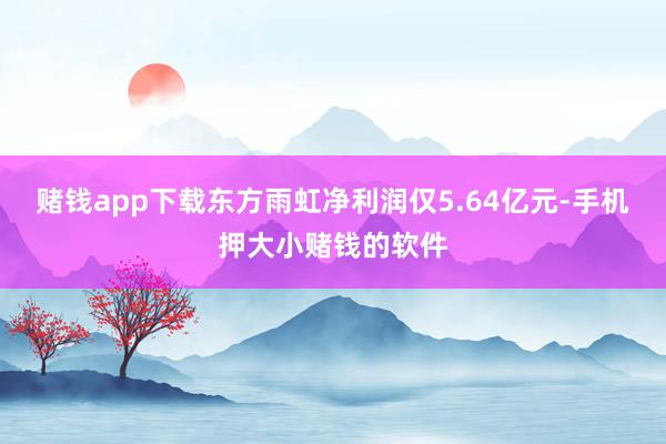 赌钱app下载东方雨虹净利润仅5.64亿元-手机押大小赌钱的软件